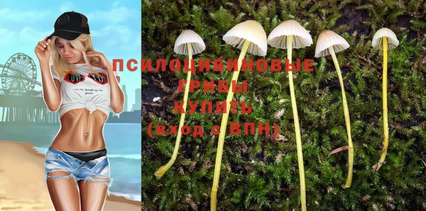крисы Алексин