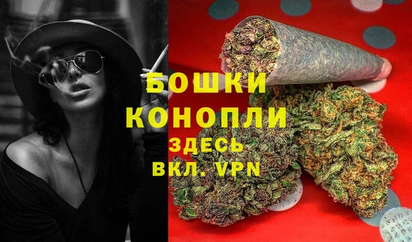 соль ск Алзамай