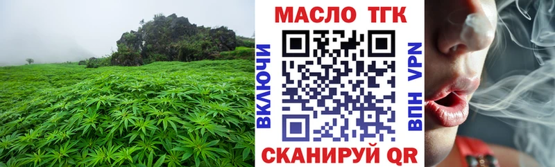где можно купить наркотик  Камышин  Дистиллят ТГК концентрат 