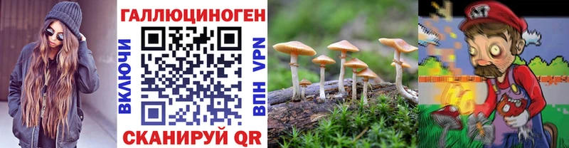 Псилоцибиновые грибы Psilocybine cubensis  блэк спрут сайт  Камышин 